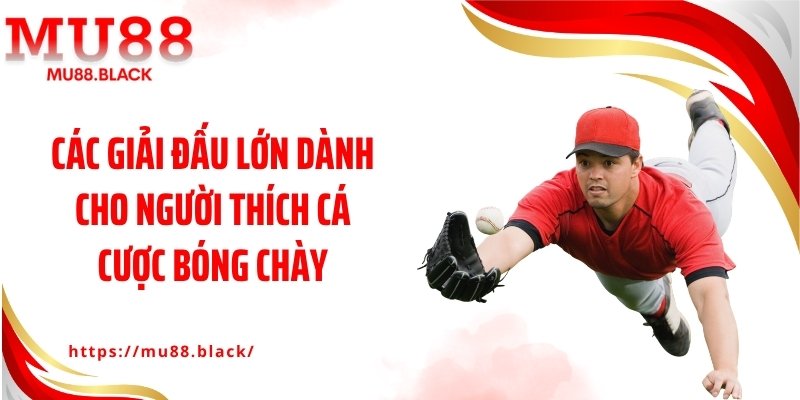 Các giải đấu lớn dành cho người thích cá cược bóng chày
