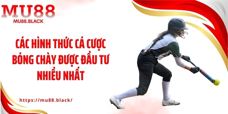 Các hình thức cá cược bóng chày được đầu tư nhiều nhất