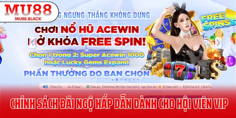 Chính sách đãi ngộ hấp dẫn dành cho hội viên VIP
