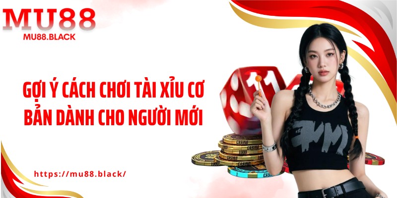 Gợi ý cách chơi tài xỉu cơ bản dành cho người mới