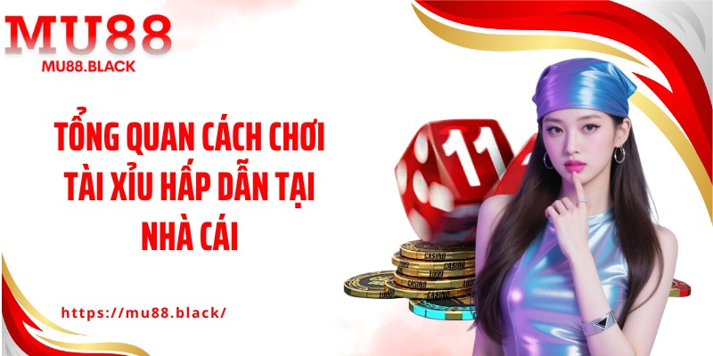 Tổng quan cách chơi tài xỉu hấp dẫn tại nhà cái